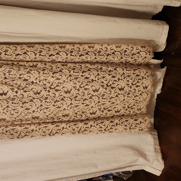 Tadashi Nude Lace Dress - Picture 3 of 5